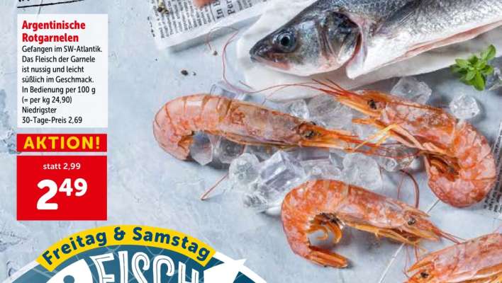 Argentinische Rotgarnelen