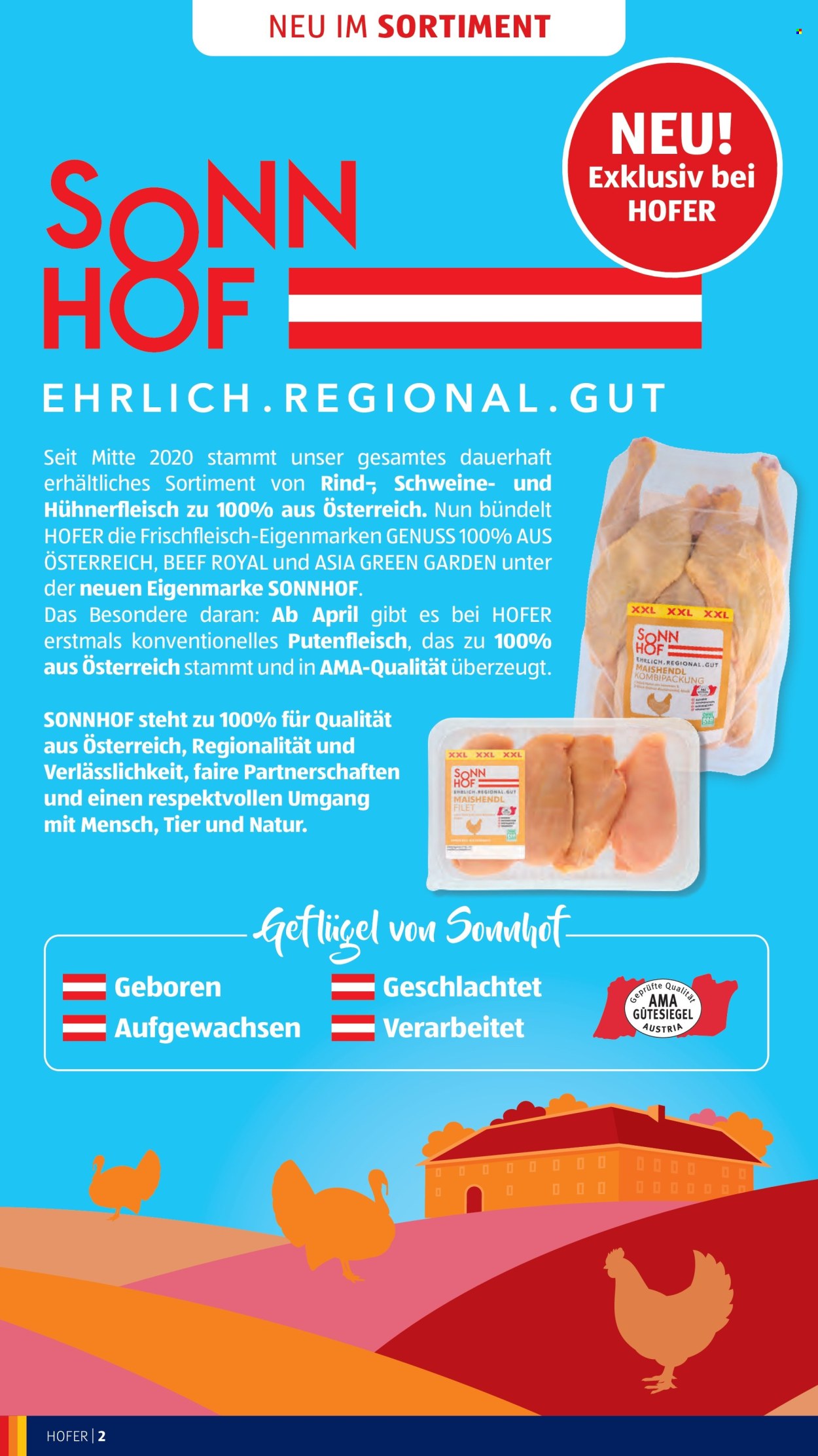 Angebote Hofer - 8.4.2026 - 16.4.2026. Seite 4