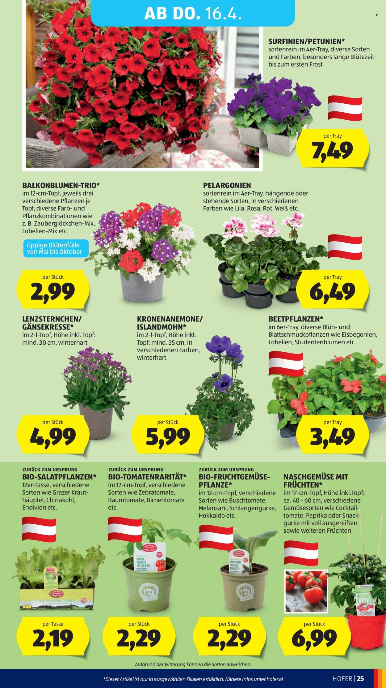 Angebote Hofer - 8.4.2026 - 16.4.2026. Seite 29