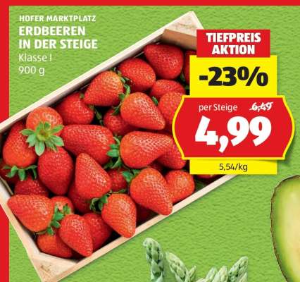 ERDBEEREN IN DER STEIGE